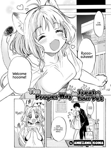 The Proper Way to Treat Your Pet