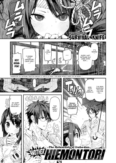 Another Hiemontori ~The Melancholy of Iroha-don~