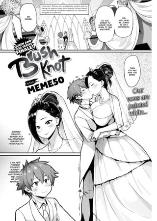 Brush Knot Hentai Cover Image