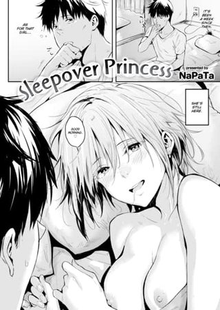 Sleepover Princess Hentai Cover Image