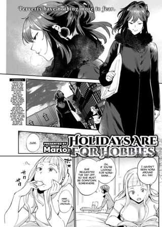 Holidays Are For Hobbies Hentai Cover Image