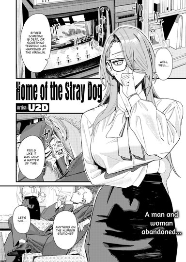 Home of the Stray Dog