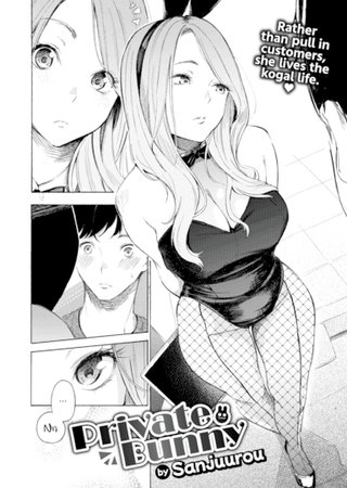 Private Bunny Hentai Cover Image