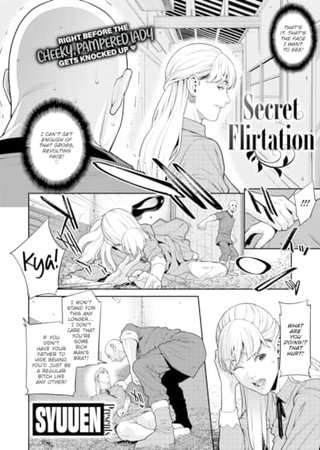 Secret Flirtation Hentai Cover Image