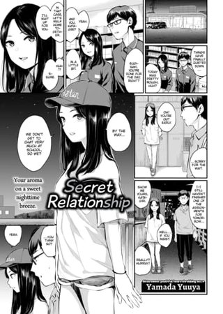 Secret Relationship Hentai Cover Image